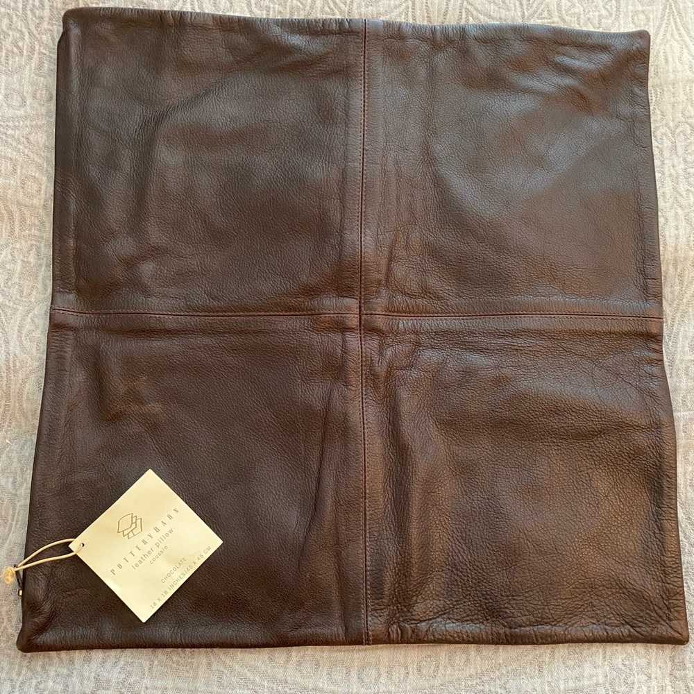 Pottery Barn Leather pillow cover!